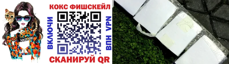 Купить закладки  Суздаль  COCAIN FishScale 